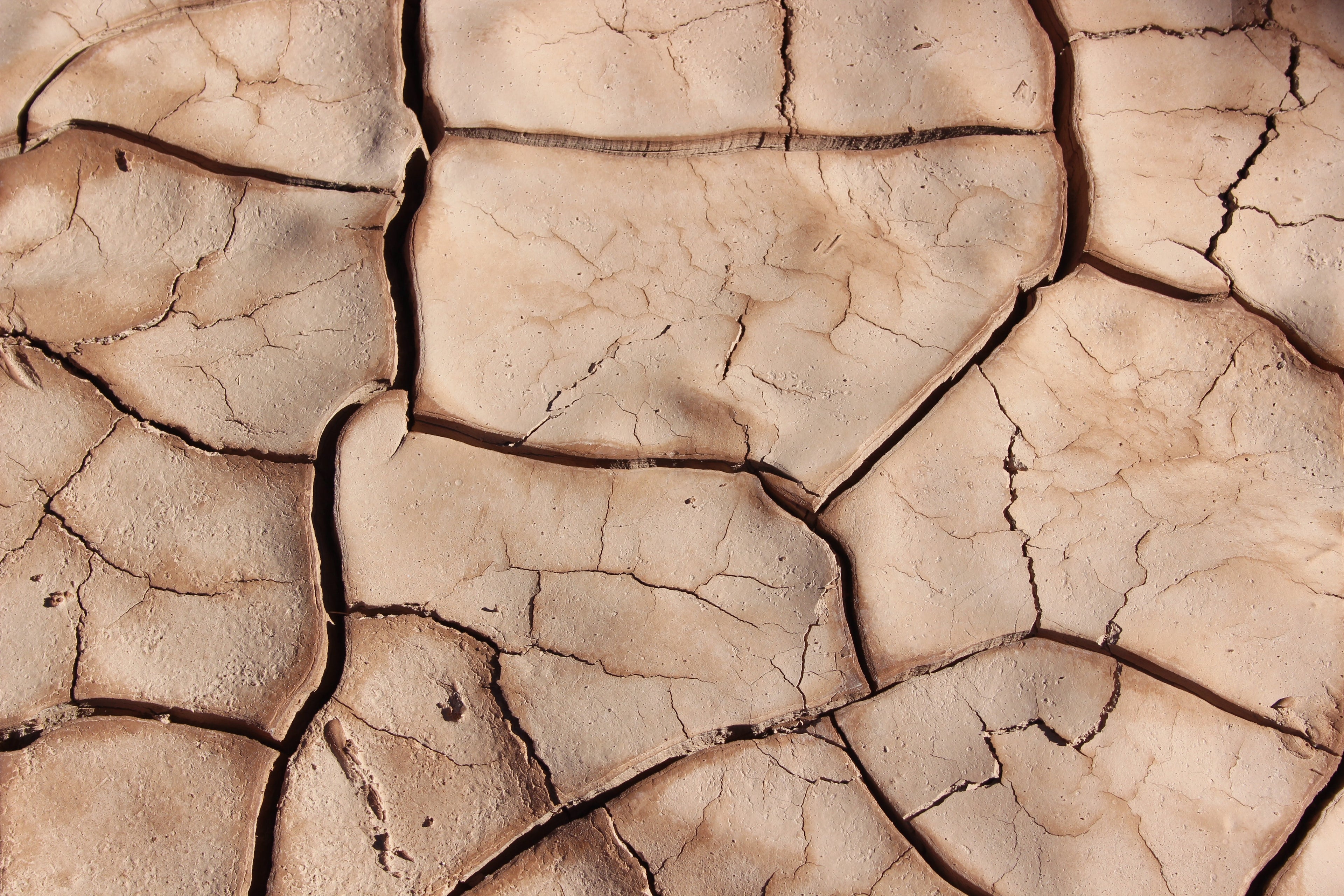 Cracked desert surface, highlighting extreme dryness